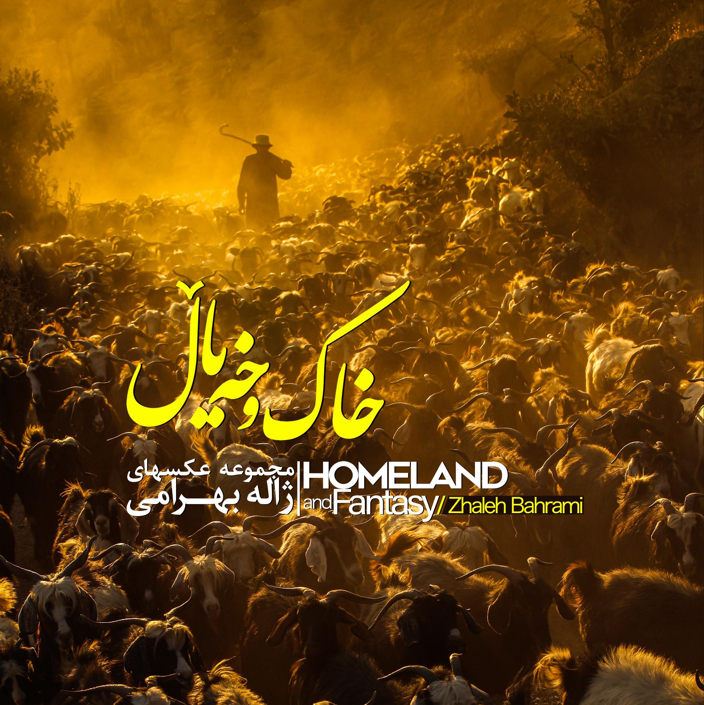 طرح روجلد
